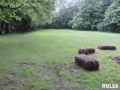 406 W Eureka St, Athens, IL 62613 photo 10