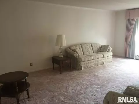 209 Quarterstaff Rd, Springfield, IL 62704 photo 4