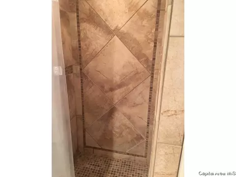 521 W Maple, Springfield, IL 62702 photo 16