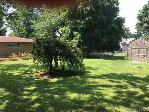 521 W Maple, Springfield, IL 62702 photo 20