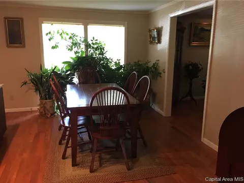 521 W Maple, Springfield, IL 62702 photo 11