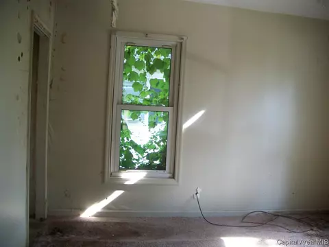 1227 N 4th St, Springfield, IL 62702 photo 5