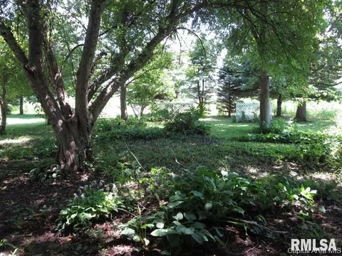 2416 Hedge Ln, Springfield, IL 62707 photo 4