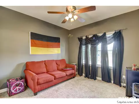 1001 Latigo Ln, Springfield, IL 62712 photo 23