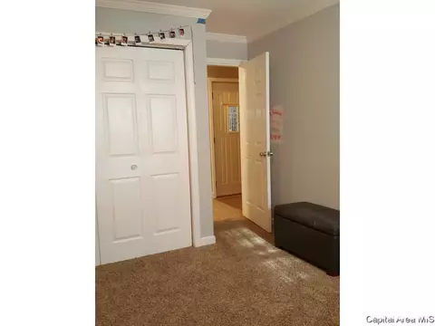 2257 E Converse Ave, Springfield, IL 62702 photo 18