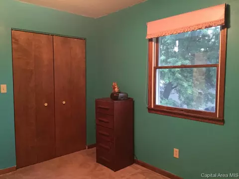 800 Diane Ct, Springfield, IL 62702 photo 23