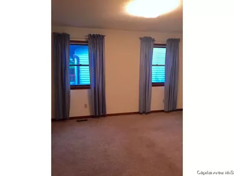 800 Diane Ct, Springfield, IL 62702 photo 15