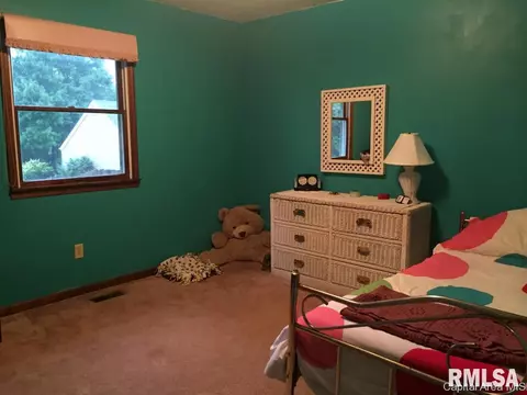 800 Diane Ct, Springfield, IL 62702 photo 22