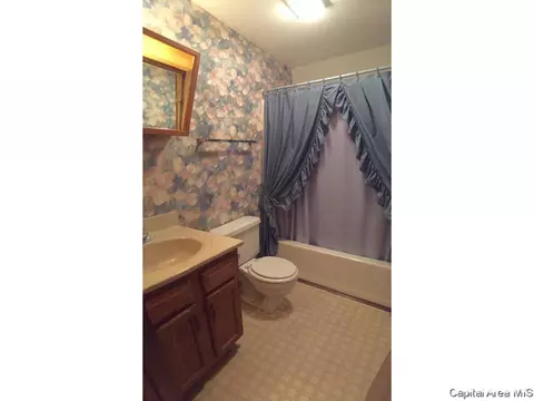 800 Diane Ct, Springfield, IL 62702 photo 24