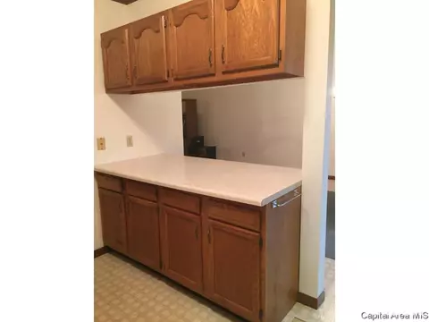 800 Diane Ct, Springfield, IL 62702 photo 13