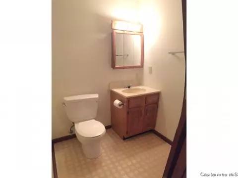 800 Diane Ct, Springfield, IL 62702 photo 19