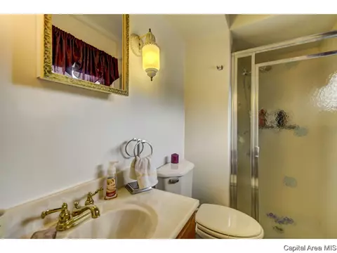 2308 Grinnell Dr, Springfield, IL 62704 photo 22