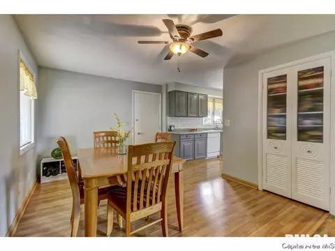 2308 Grinnell Dr, Springfield, IL 62704 photo 16