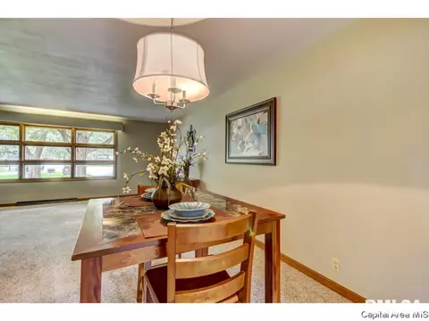 8 Walberta, Rochester, IL 62563 photo 16