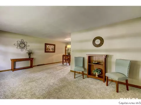 8 Walberta, Rochester, IL 62563 photo 12