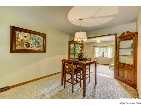 8 Walberta, Rochester, IL 62563 photo 15