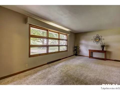 8 Walberta, Rochester, IL 62563 photo 13