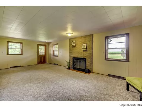 8 Walberta, Rochester, IL 62563 photo 23