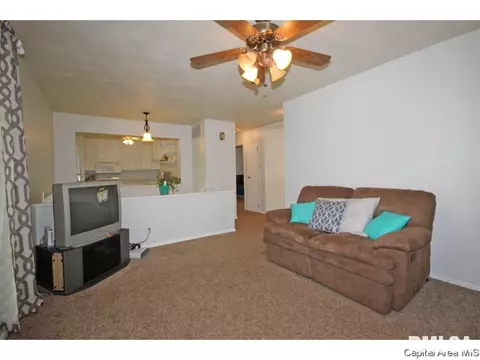 2608 Griffiths, Springfield, IL 62702 photo 3