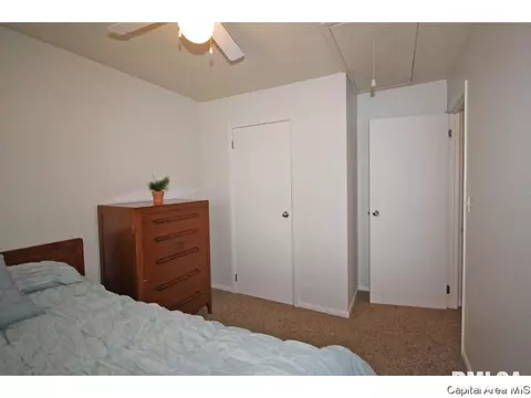 2608 Griffiths, Springfield, IL 62702 photo 13