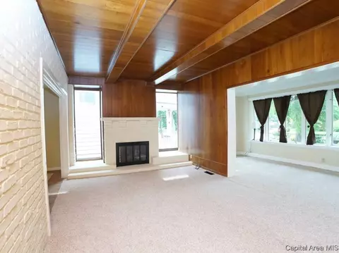 705 W Vine St, Springfield, IL 62704 photo 8