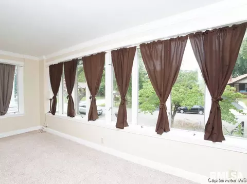 705 W Vine St, Springfield, IL 62704 photo 7