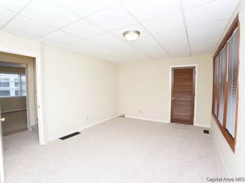 705 W Vine St, Springfield, IL 62704 photo 21