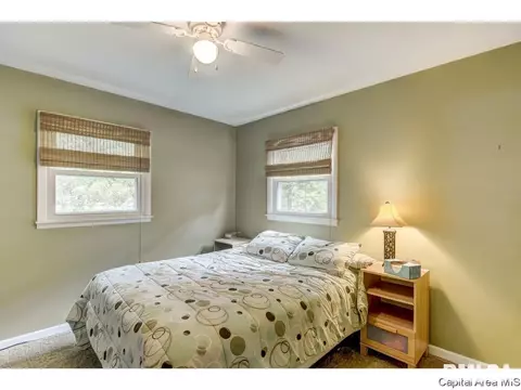 2328 S Bates Ave, Springfield, IL 62704 photo 22