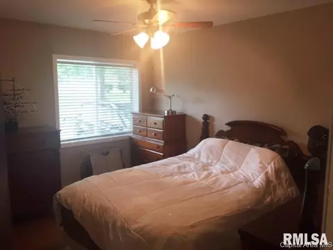 1141 W Washington St, Springfield, IL 62702 photo 5