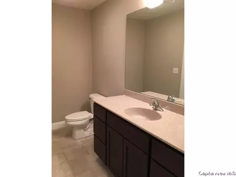 4803 Chestnut, Springfield, IL 62711 photo 14