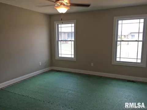 4803 Chestnut, Springfield, IL 62711 photo 8