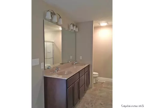 4803 Chestnut, Springfield, IL 62711 photo 10