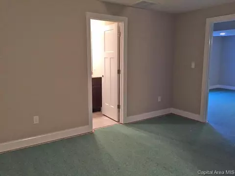 4803 Chestnut, Springfield, IL 62711 photo 18