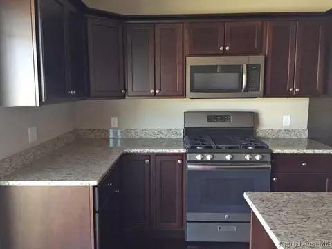 4803 Chestnut, Springfield, IL 62711 photo 3