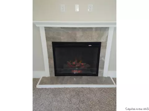 103 N State, Springfield, IL 62702 photo 9