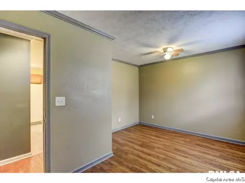 2000 E Converse St, Springfield, IL 62702 photo 15