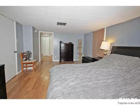 1744 S Douglas, Springfield, IL 62704 photo 26