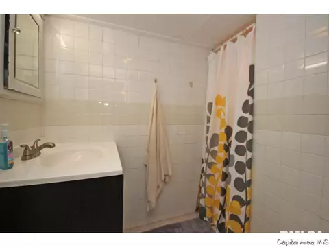 1744 S Douglas, Springfield, IL 62704 photo 29