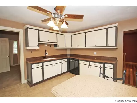 2027 N 19th, Springfield, IL 62702 photo 3