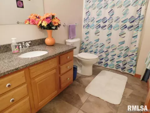 6805 Ninebark Dr, Springfield, IL 62712 photo 25