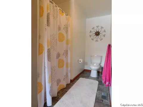 6805 Ninebark Dr, Springfield, IL 62712 photo 23