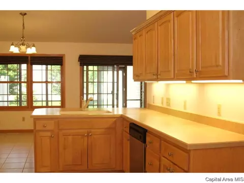 7101 Preston Dr, Springfield, IL 62711 photo 10
