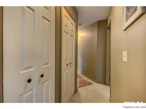 2000 Clara Mae Ct, Springfield, IL 62711 photo 20