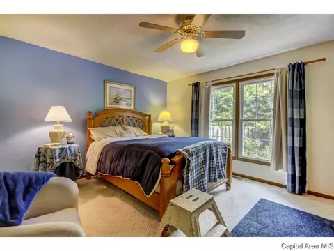 2000 Clara Mae Ct, Springfield, IL 62711 photo 21