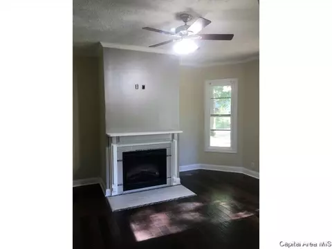 1030 N 4th St, Springfield, IL 62702 photo 5