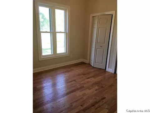 1030 N 4th St, Springfield, IL 62702 photo 18