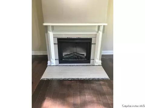 1030 N 4th St, Springfield, IL 62702 photo 13