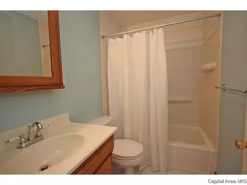 2137 Lowell Ave, Springfield, IL 62704 photo 24