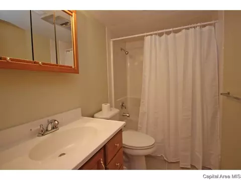 2137 Lowell Ave, Springfield, IL 62704 photo 13