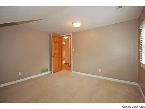 2137 Lowell Ave, Springfield, IL 62704 photo 17